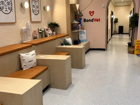 Bond Vet