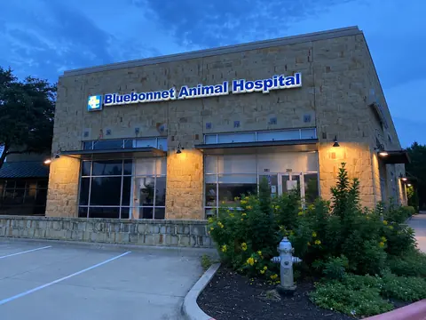 Bluebonnet Animal Hospital