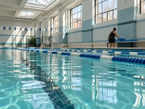 Goldfish Swim School