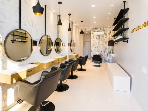 Little Lion Salon