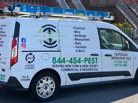 Top class pest control corp