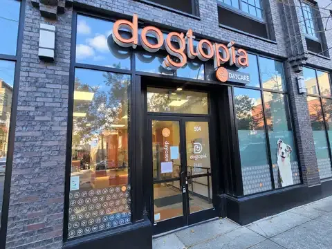 Dogtopia