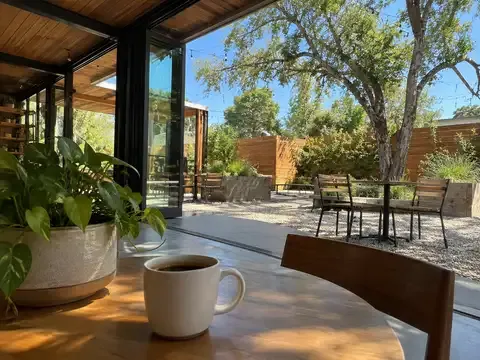 Mojo's Daily Grind