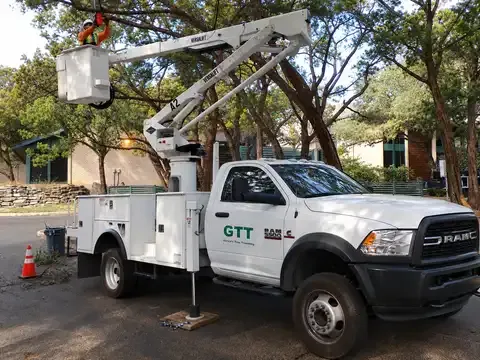 Garcia's Tree Trimming