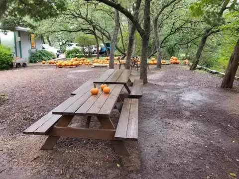 Austin Waldorf School