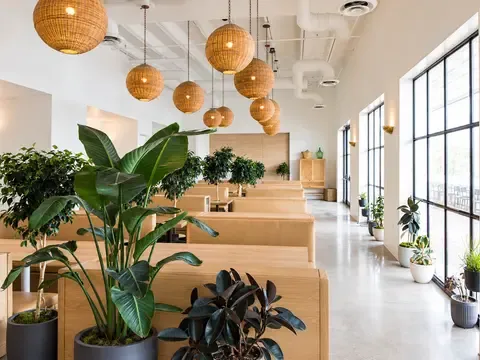Hank's Austin