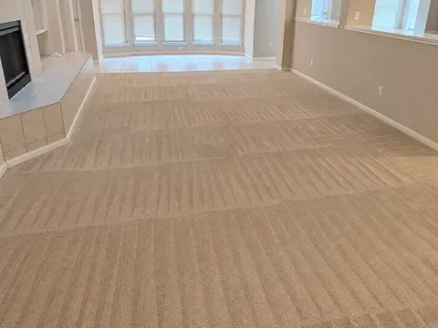 Absolute Carpet & Tile
