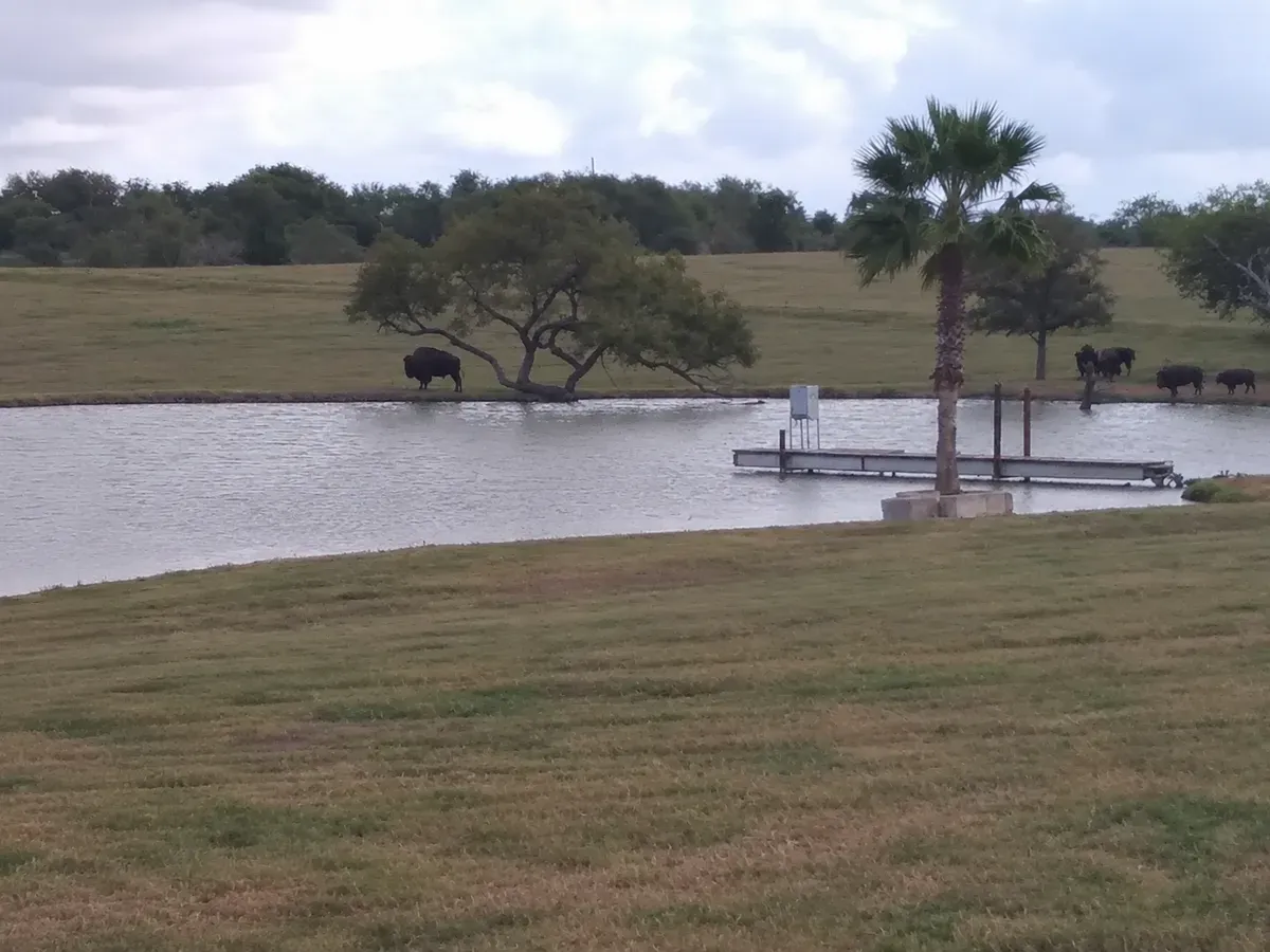 Texas Disposal Systems Exotic Game Ranch