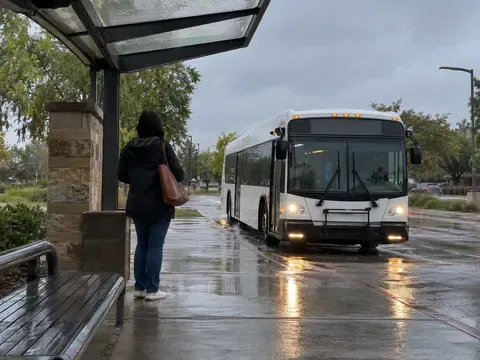 Greyhound Bus