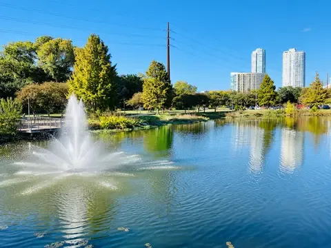 Auditorium Shores Dog Park