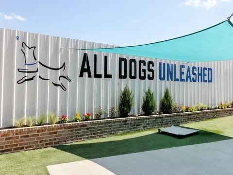All Dogs Unleashed