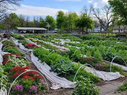 HausBar Urban Farm