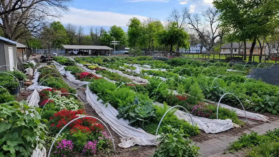 HausBar Urban Farm