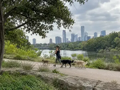 The Pet Gal
