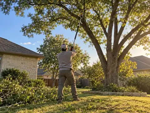 Pflugerville TX Tree Trimming and Removal