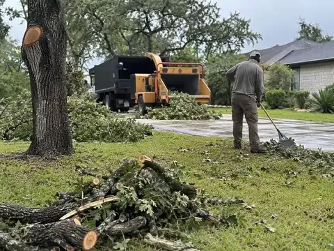 Mike's Tree Service