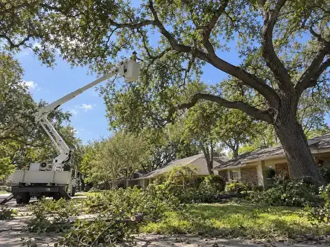 Certified Tree Care