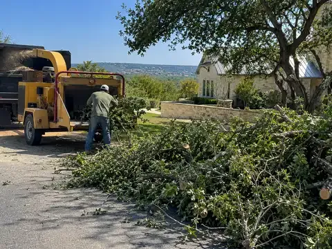 BioGreen Tree Care
