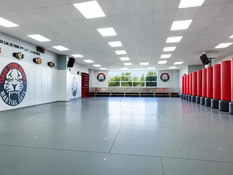 Tiger Schulmann's Martial Arts