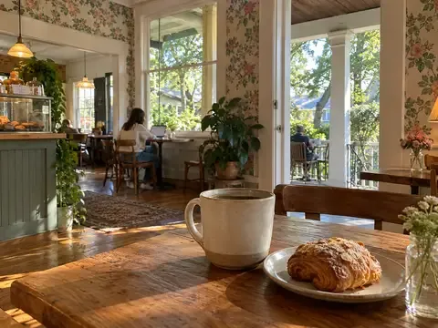 Mozarts Coffee Roasters