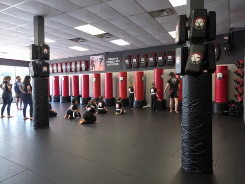 Tiger Schulmann's Martial Arts