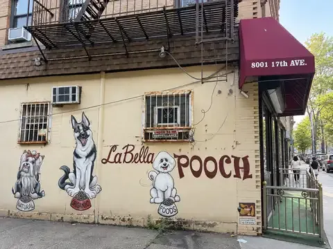 La Bella Pooch Dog Training and Grooming