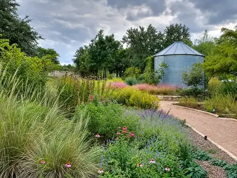 Wildflower Center Cafe