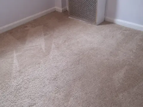 Prime Carpet Cleaning