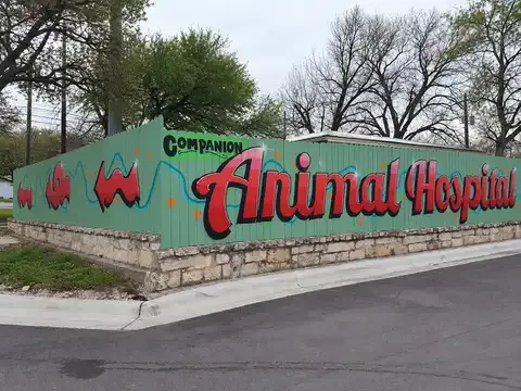 Companion Animal Hospital